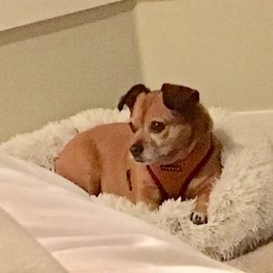 Meet your Posher, Catherine